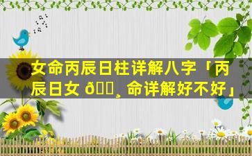 女命丙辰日柱详解八字「丙辰日女 🕸 命详解好不好」